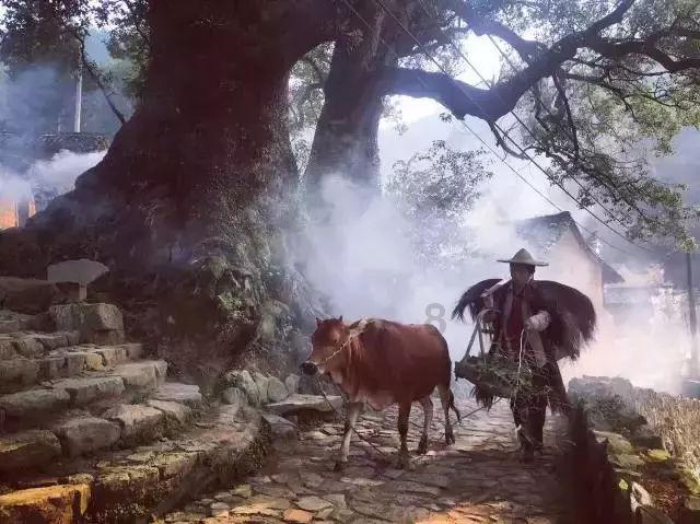 铠甲勇士大作战2