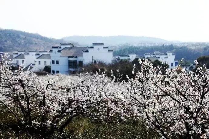部落陷阱逃脱