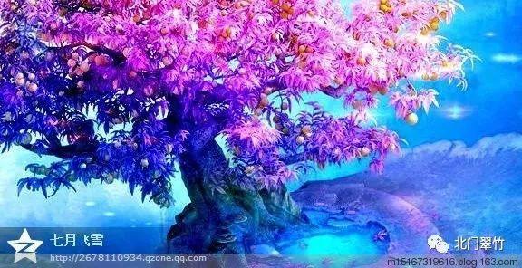 荒岛枪训